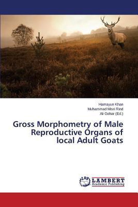 Gross Morphometry of Male Reproductive Organs of local Adult ... - cover
