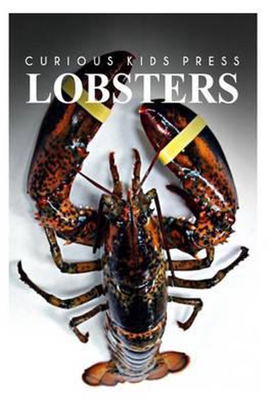 Lobster - cover