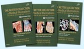 The Netter Collection of Medical Illustrations: Musculoskeletal System Package