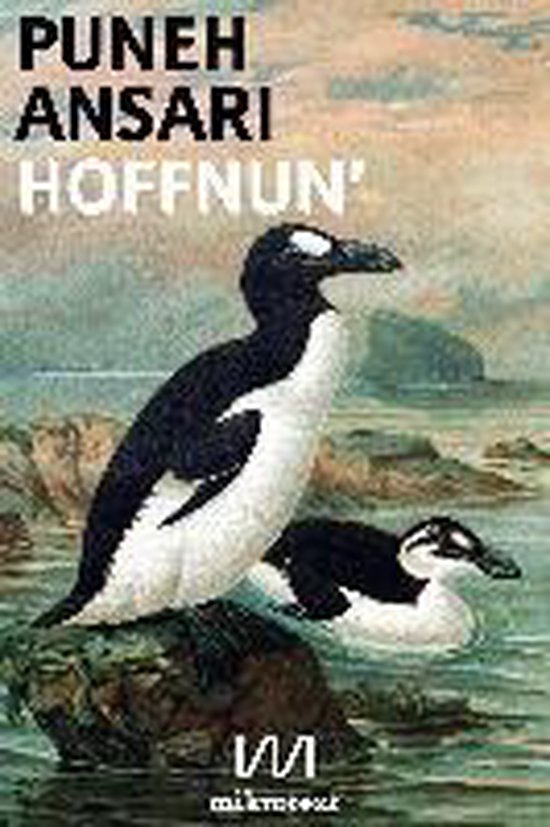 Hoffnun' - cover