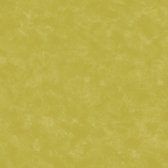 Dutch Wallcoverings vliesbehang uni - groen