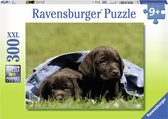 Ravensburger puzzel Labrador Pups - Legpuzzel - 300XXL stukjes