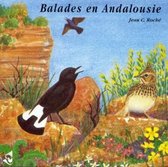Various Artists - Balades En Andalousie (CD)