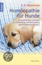 Homöopathie Für Hunde