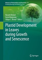 Advances in Photosynthesis and Respiration 36 - Plastid Development in Leaves during Growth and Senescence