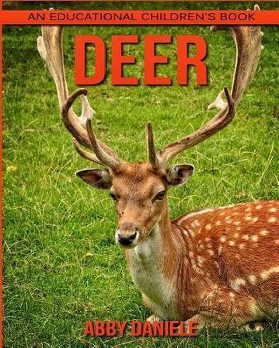 about deer
