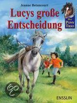 Das Pony-Trio. Lucys große Entscheidung
