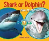 Shark or Dolphin?