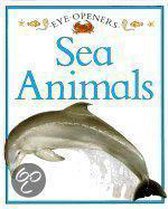 Sea Animals