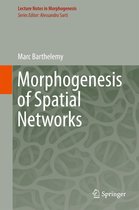 Lecture Notes in Morphogenesis - Morphogenesis of Spatial Networks
