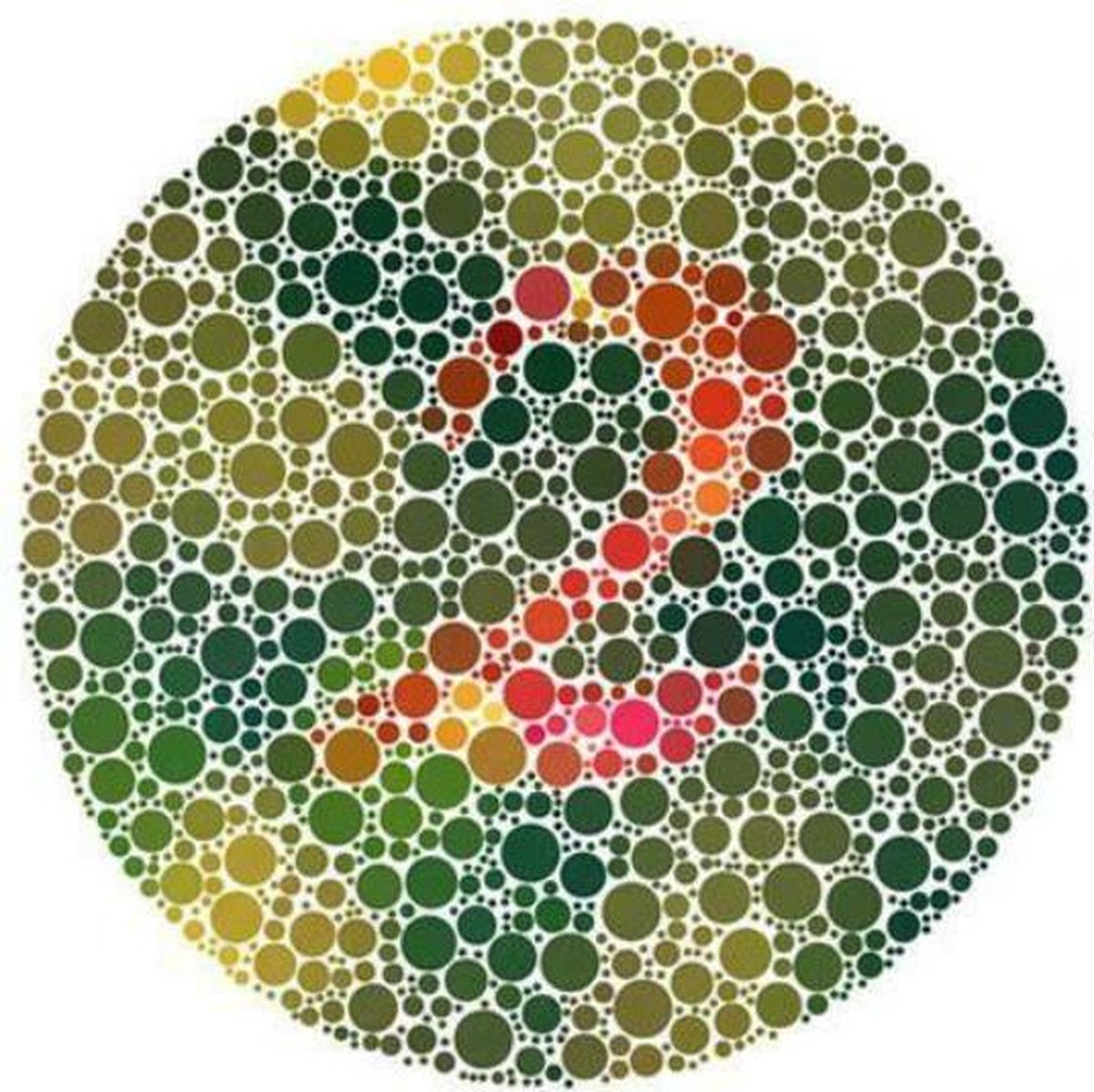 Kleurenblind daltonisme bril, rood / groen kleurenblinden |