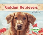 Dogs -  Golden Retrievers