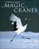 Magic of Cranes