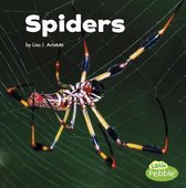 Spiders (Little Critters)