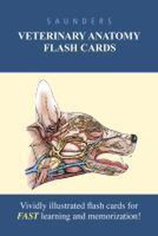 Saunders Veterinary Anatomy Flash Cards 9781437714401 Saunders