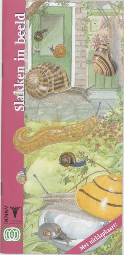 Cover van het boek 'Slakken in beeld' van Frank Bos