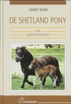De Shetland Pony als gezelschapsdier