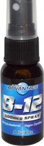 B12 Spray 500 mcg (30ml) - Pure Advantage