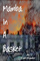 The Allie Slayton Disaster - Mamba In A Basket
