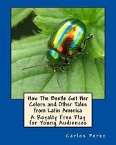 How the Beetle Got Her Colors and Other Tales from Latin America