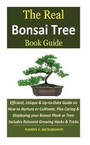 The Real Bonsai Tree Book Guide