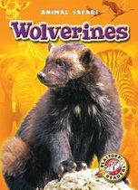 Animal Safari- Wolverines