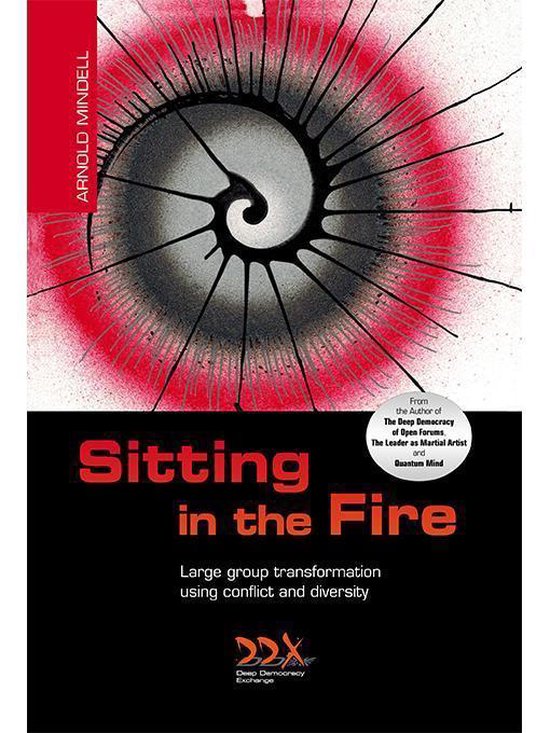 Sitting In The Fire: Large Group Transformation Using Conflict and Diversity