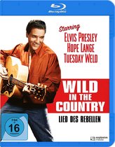 Lied des Rebellen (Wild in the Country)
