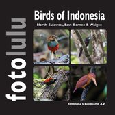 fotolulu`s Bildband 15 - Birds of Indonesien