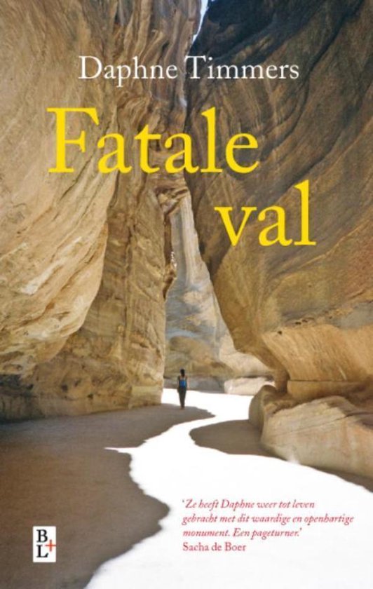 Cover van het boek 'Fatale val'