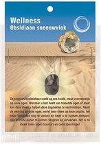 Ruben Robijn Obsidiaan sneeuwvlok gezondheids hanger