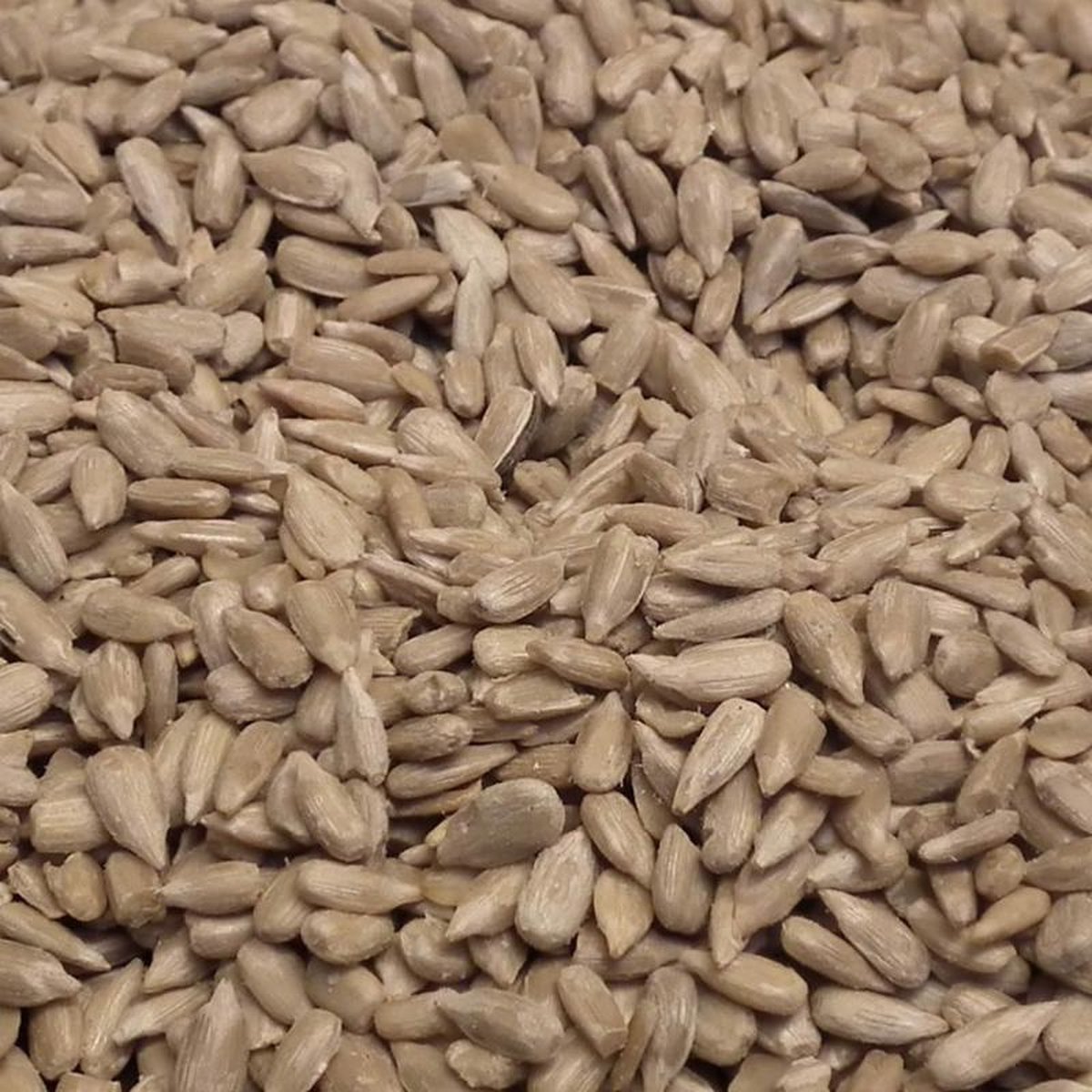 Vogro Zonnebloempitten gepeld 10KG