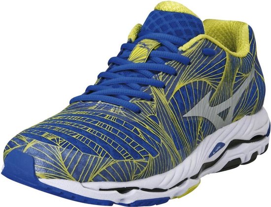 mizuno wave paradox