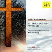 Die Motetten BWV225-229
