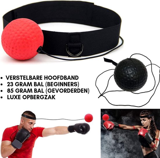Roei uit Indica Verwachten Reflex Bal – Set van 2 Boxballen met luxe opberg hoes - Hand Oog  Coördinatie Training... | bol.com