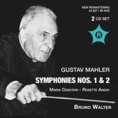Mahler: Symphonies Nos.1 & 2 (Ny 19