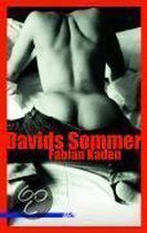 Davids Sommer