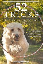 52 Tricks to Teach Your Dog