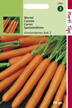 Hortitops Zaden - Wortelen Amsterdamse Bak 2 10 Gram