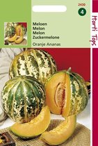 Hortitops Zaden - Meloenen Oranje Ananas
