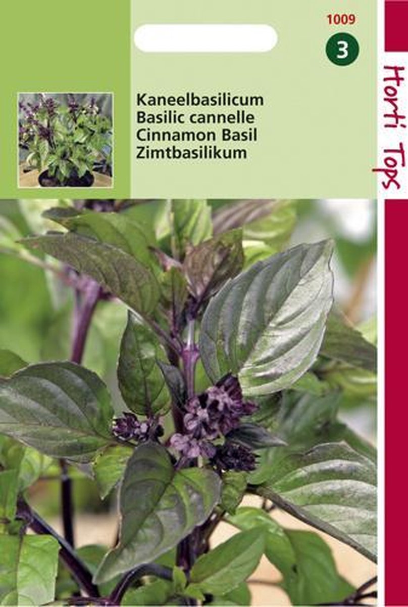 Hortitops Zaden - Basilicum Kaneelsmaak