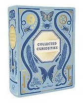 Bibliophile Ceramic Vase: Collected Curiosities Illustrated by Jane Mount: (flower Vase, Desk Vase, Desk D�cor)