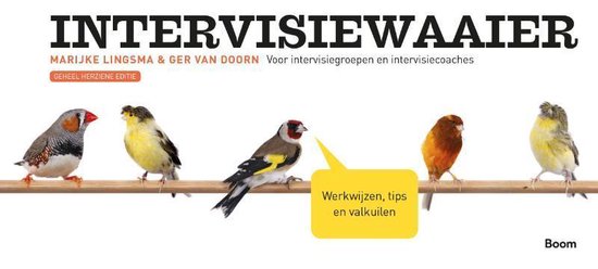 Cover van het boek 'Intervisiewaaier' van Marieke Lingsma