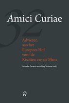 Amici Curiae, adviezen aan het Europese hof voor de rechten van de mens