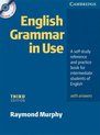 English Grammar In Use With Answers And Cd Rom