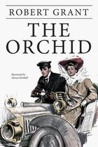 The Orchid