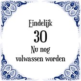 Verjaardag Tegeltje met Spreuk (30 jaar: Eindelijk 30! nu nog volwassen worden! + cadeau verpakking & plakhanger