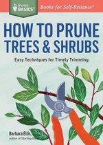 How To Prune Trees & Shrubs