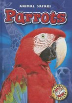 Animal Safari- Parrots