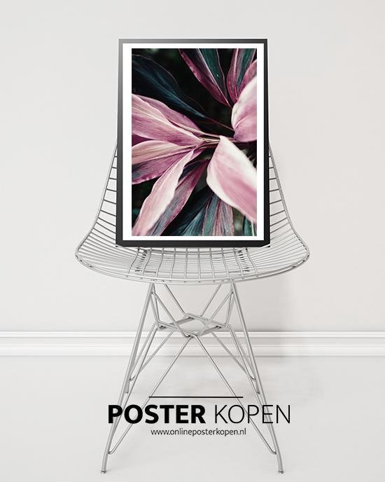 ONLINE POSTER KOPEN - Botanische poster - A3 formaat | bol.com